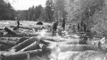 Foresterie, la drave
