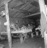 Foresterie,cuisine